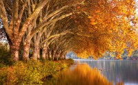 عکس فوق العاده زیبا از انعکاس پاییزی | عکس کارت پستالی