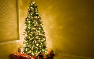 درخت زیبای کریسمس و هدایا