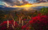 غروب زیبای آفتاب کوه های کالیفرنیا شمالی