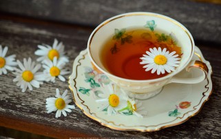 عکس فنجان چای تاره با گل بابونه