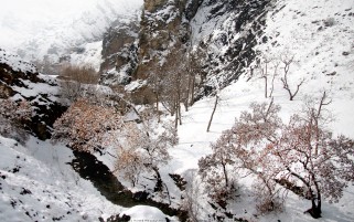 عکس زمستان درکه تهران