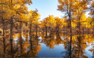 عکس انعکاس پاییز در دریاچه