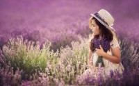 دختر بچه میان دشت گل بنفش زیبا