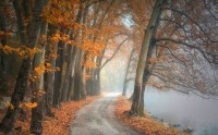 جاده فوق العاده پاییزی توسط john_Ioannidis