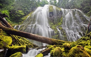 عکس آبشار پراکسی در ارگان آمریکا