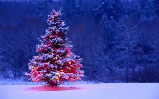 درخت کریسمس روشن