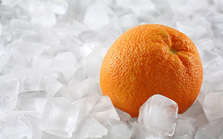 پرتقال در یخ