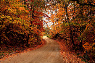 جاده باریک پاییزی