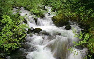 نهر خروشان،آلاسکا