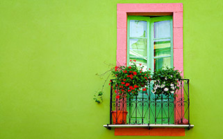 پنجره زندگی سبز